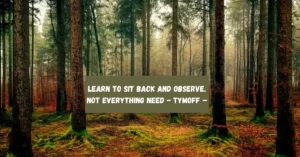 Learn to Sit Back and Observe. Not Everything Need - Tymoff –