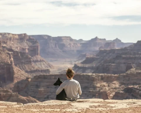 Solo Travel with Pets