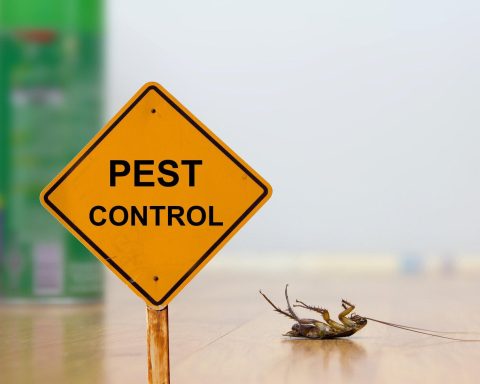 Pest Control