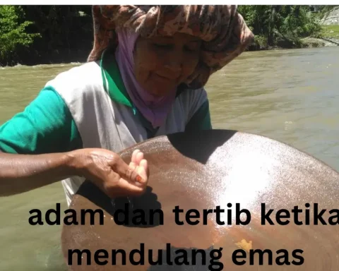adam dan tertib ketika mendulang emas