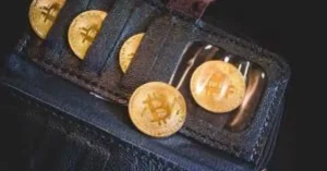 ecrypto1.com Privacy Coins