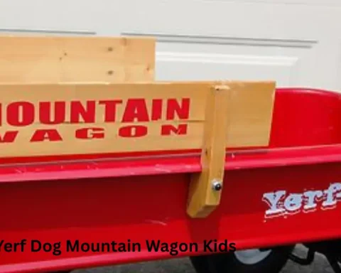 New Yerf Dog Mountain Wagon Kids