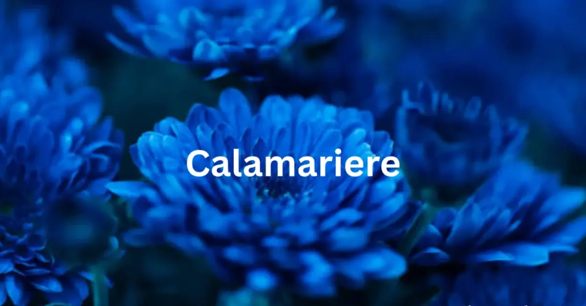 Calamariere