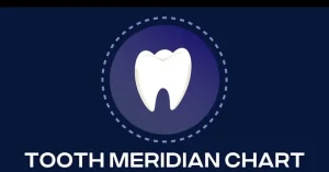 Tooth Meridian Chart