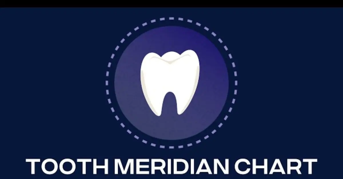 Tooth Meridian Chart