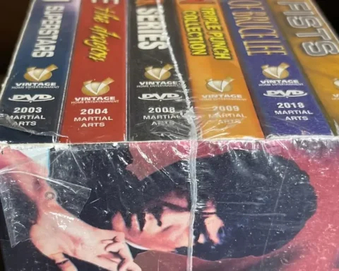 Box Set 8 Immortals Kung Fu DVDs